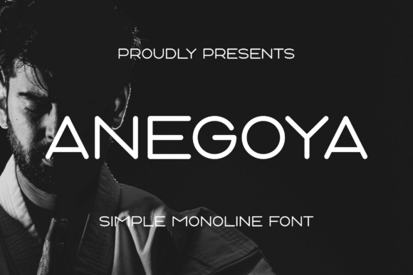Anegoya: A Vibrant Sans Serif Display Font for Bold Branding