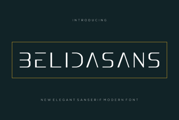Belidasans: A Designer's Honest Review for Real Projects