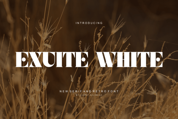 Exuite White: A Modern Display Typeface for Bold Web Design