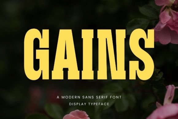 Gains: The Modern Sans Serif Font for High-Impact Campaigns