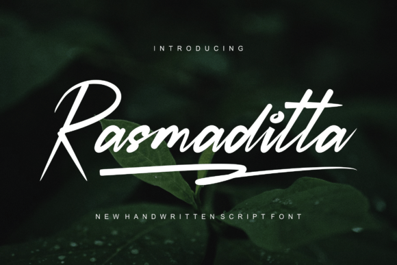 Rasmaditta: A Bold Display Font for Authentic Brand Identity