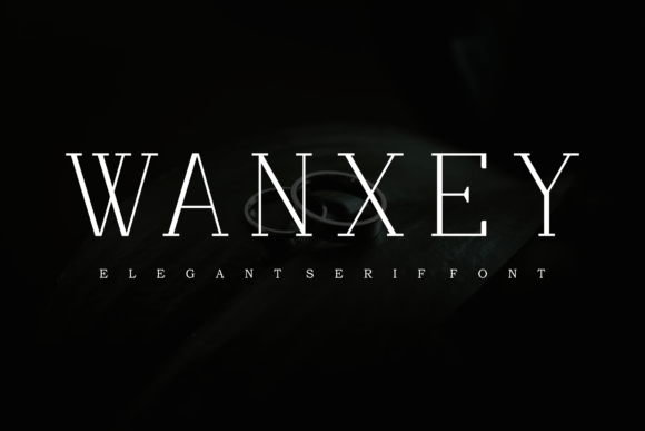 Wanxey: A Delicate Script Typeface for Modern Editorial Design